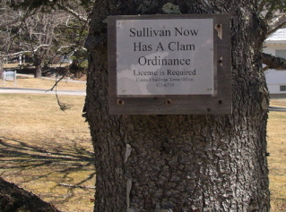 IMGP1393.JPG