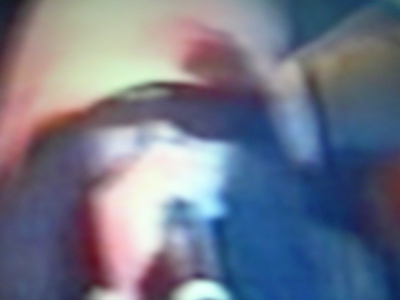 IMGP5699.JPG