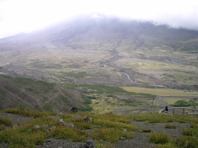 IMGP9733.JPG