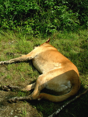 IMGP0649.JPG